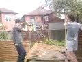 wilg slin 1 wilg slin 1