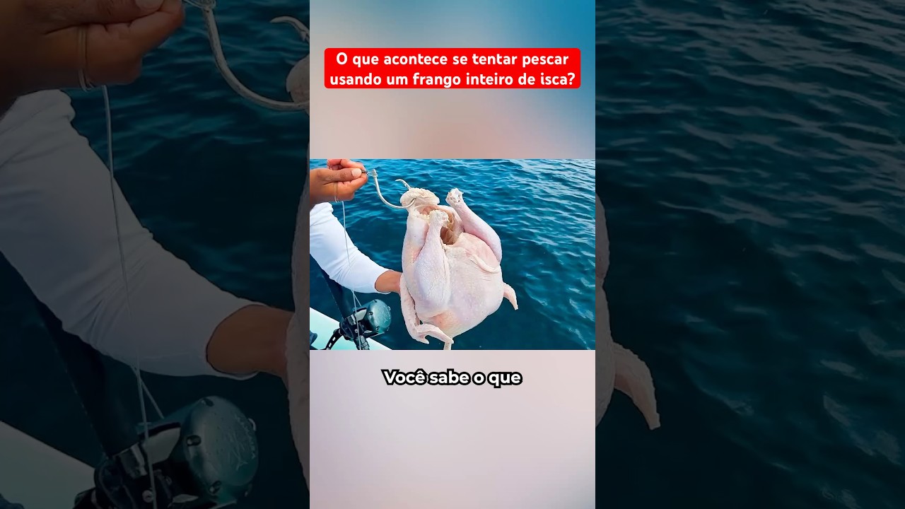 O Que Acontece Se Tentar Pescar Usando Um Frango Inteiro?