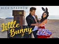 Little Bunny (OFFICIAL VIDEO) 