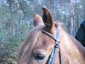 Der Hickock Radar