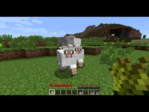 how to collect sheep minecraft