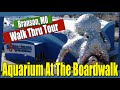 Aquarium At The Boardwalk In Branson Missouri