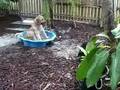 In the sandpit