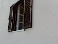 Ref. 277 - House for rent near Dornes, Rio Zêzere - Part I