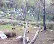 Add Video to QuickList