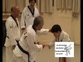 Medley Taekwondo Taekwonkido Hapkido Medley Taekwondo Taekwonkido Hapkido