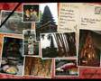 Bali Travel Ucpa 2007