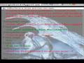 videos de Cab0 (Something13333) running from me on MSN.