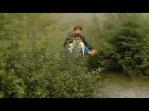 extraterrestre coleraine