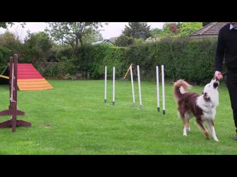 Session 17 One week in.