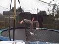 ccboyz the jump