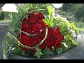 Unsere gemainsen Leben in 1 Jahe.Kleine Reportage über meine Liebesgeschichte in moove.1 Jahr Ehe in Moove!verliebt , verlobt , verheiratet - * CAT & NIXE *