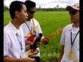 videos de sschs community ALANG-ALANG