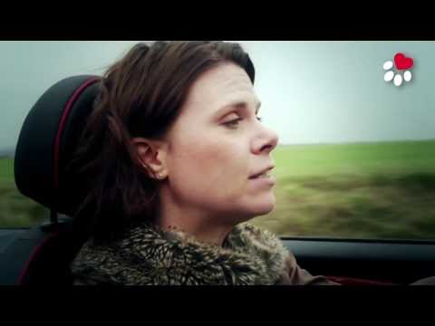 Wunschfutter - Individuelles Hundefutter in Premiumqualität ohne Tiermehle