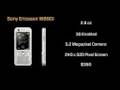 Gadget Lab 4: Sony Ericsson W890i