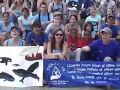 Big Blue March in Colombia