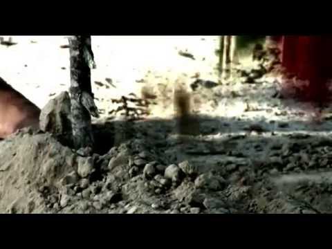 Imagen de previsualización de YouTube
