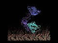 Activation mechanism of EGF receptor