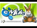 סרטון 60 שניות עבור דבורקין 2008