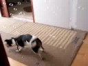 Odyn vs Bubbles Odyn vs Bubbles