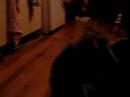 daniel and elliot playing