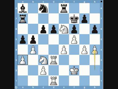 chess chess
