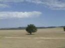 Steppe