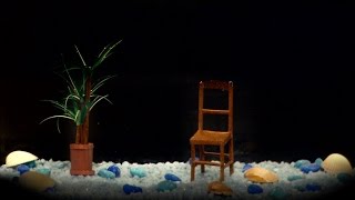 6.08.16 - 21h Zacharie en concert!