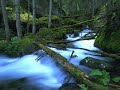 Nature – Wake up A