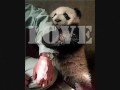 не стреляй!(песня ДДТ)  видео на тему Охоты.