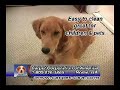 CCA Carpet Tile TV Spot