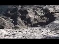 Kruger Park  encounter
