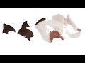 Flowers for Kate Moss Flowers for Kate Moss