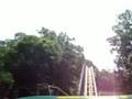 BUSCH GARDENS GRIFFON CRASH! ON VIDEO