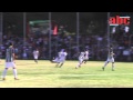 Click to View : Peces vs Aguacateros