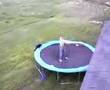 garage roof backflip