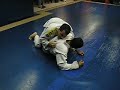 Jiu Jitsu Sinho Team