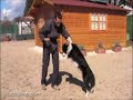 Facilisimo.com: Habilidades Caninas (VI)