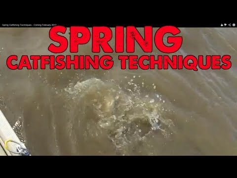 Spring Catfishing Techniques