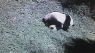 Smithsonian National Zoo