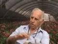עונת הרקפות מתנס מודיעין