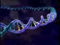Replication du Virus HIV