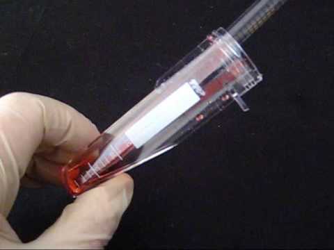 how to eliminate pyrogens