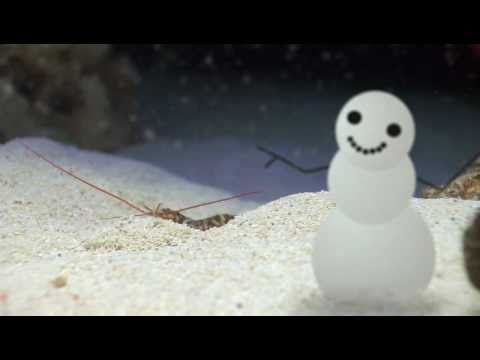 Image de prévisualisation YouTube