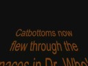 The Adventures Of Catbottoms