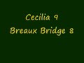 Cecilia vs. Breaux Bridge 1995