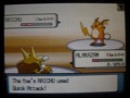 WiFi battle vs. Anirudh