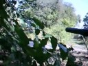 RecBall: Assault on The Pond
