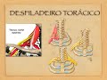 Dr Alexandre Henrique - aula PG fisioterapia - plexo braquial - CESUMAR