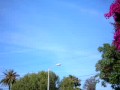 chemtrails Early 2009 los angeles